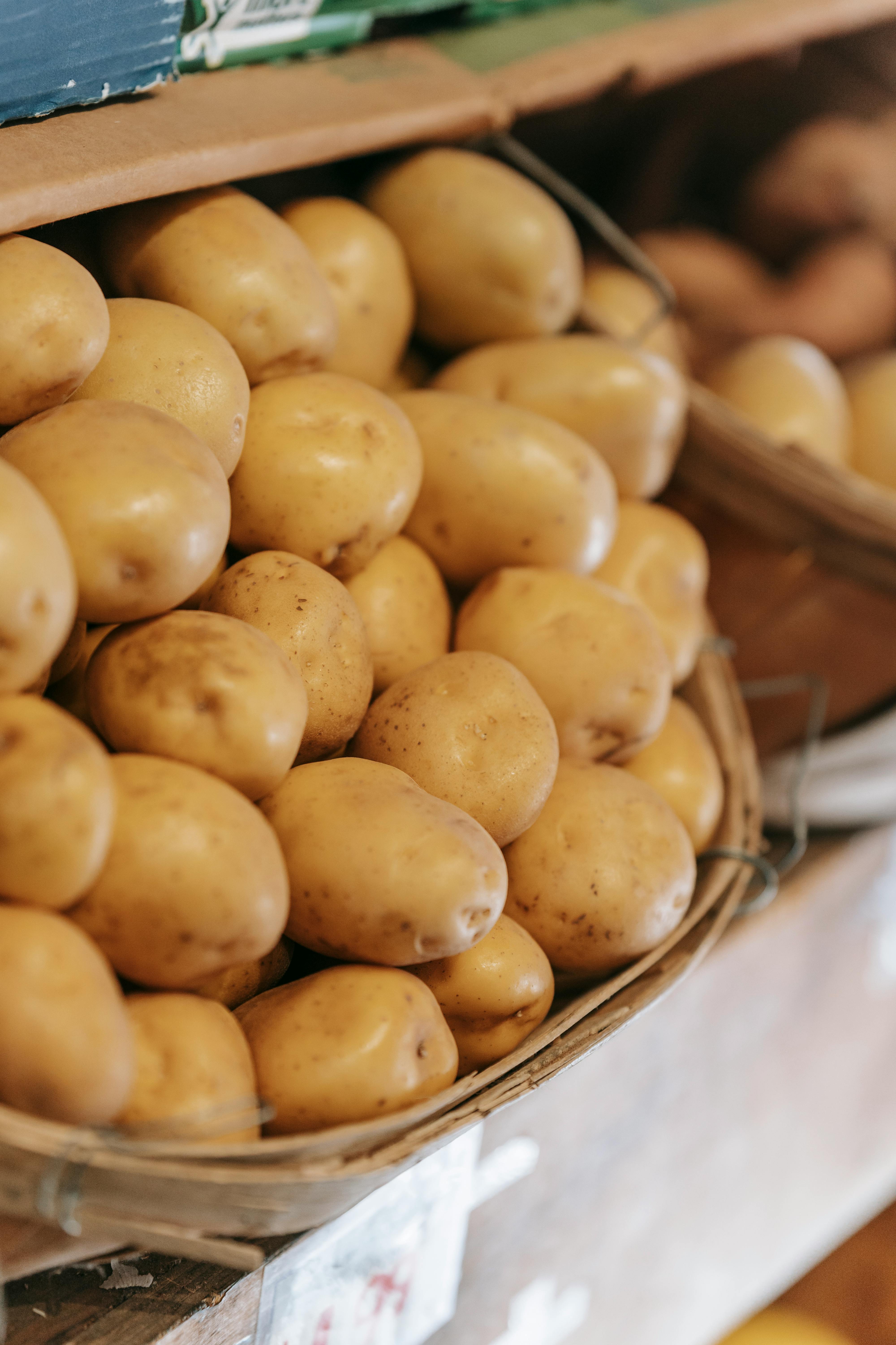 Potato